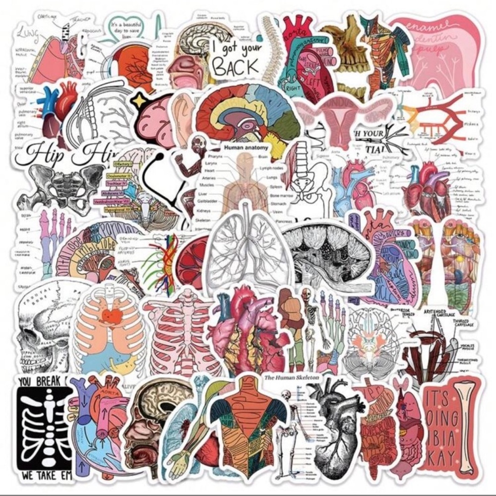 50pcs Cartoon Organ Anatomy Pattern Stickers, Human Organ Construction Medical